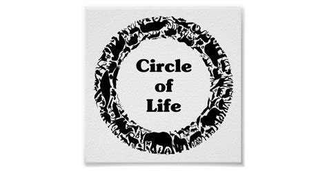 Circle Of Life Poster