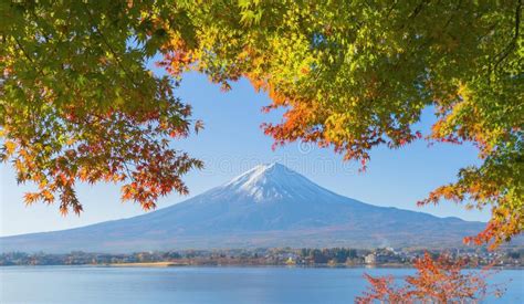 Mountain Fuji With Red Maple Leaves Or Fall Foliage In Colorful Autumn