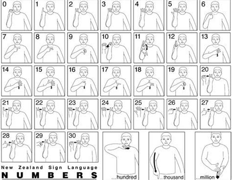 Numbers Sign Language Words Makaton Signs Learn Sign Language