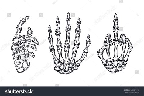 Human Skeleton Bones Skeleton Hands Drawing Skeleton Hand Tattoo