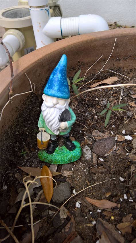 Check out this fantastic collection of garden gnome wallpapers, with 44 garden gnome background images for your please contact us if you want to publish a garden gnome wallpaper on our site. Small Pot Gnome | Gnomes, Garden sculpture, Outdoor decor