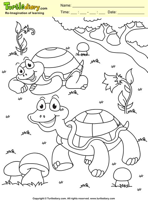 Turtle Coloring Page Coloring sheet | Turtle coloring pages, Coloring pages, Spring coloring pages