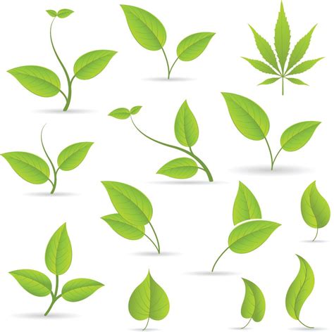 Daun Vector Png Vector Leaf Png Images Free Psd Templates Png And