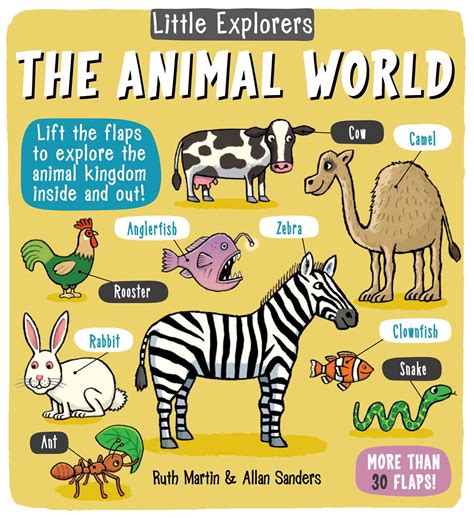 Little Explorers The Animal World Book By Ruth Martin Allan Sanders