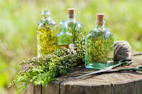 In today's article, i have sorted out 10 different substitutes for fresh thyme that are easily available. These Substitutes of Capers are Easily Available in Every ...