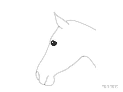 Easy Horse Head Drawing Tutorial Prb Arts