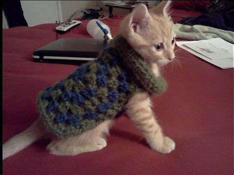 Urban Granny Dog Sweater Pattern By Lion Brand Yarn Cat Sweater
