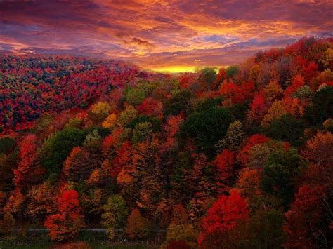 60 Breathtaking Fall Pictures The Photo Argus Paesaggi Tramonto In