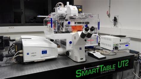 Confocal Zeiss Lsm 880 With Airyscan Mric Microscopy Rennes Imaging