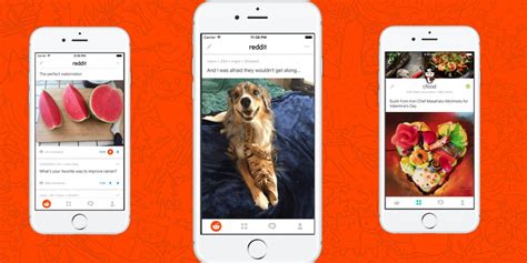 Reddit Finally Unveils A Mobile App For Android And Ios Tech News