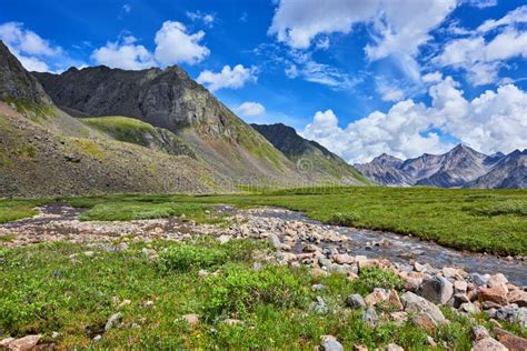 Stream And Mountain Meadow Summer Day Stock Image Image Of July Rock