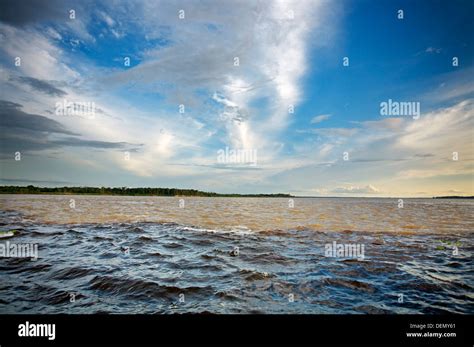 Meeting Of White Waters Of Solimoes River River Amazon And The Black