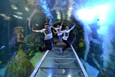 Billy Elliots Make A Splash At The National Sea Life