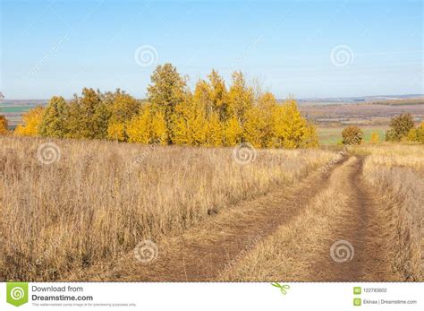 Autumn Scenes A Picturesque Dirt Road In The Autumn Mixed Fores Stock