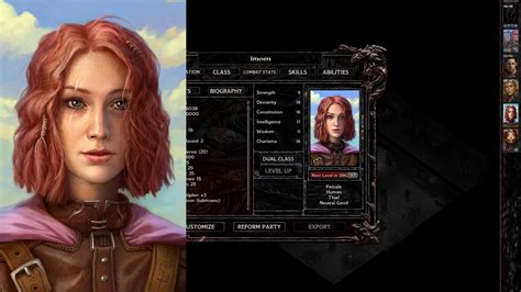 Alternative Companions Portraits At Baldur S Gate Nexus Mods And Community