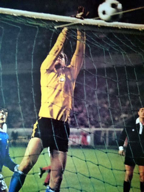 Le passif et la bonne série des bleus face à cet adversaire. THE VINTAGE FOOTBALL CLUB: FRANCE-Bulgarie 1977.