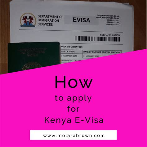 How To Successfully Apply For Kenya E Visa From Nigeria Labyrinths Of