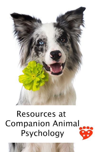 Resources At Companion Animal Psychology