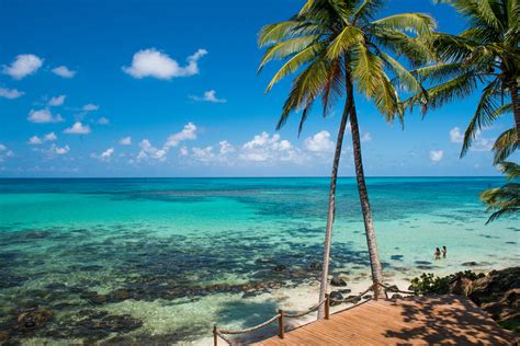 las mejores islas del caribe para ir de vacaciones [🥇top 2020]