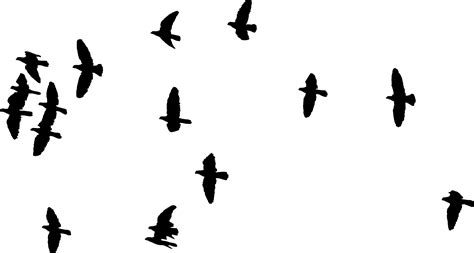 Birds In Flight Silhouette At Getdrawings Free Download