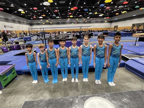 Mens Artistic Competitive Team Seattle Gymnastics Academy