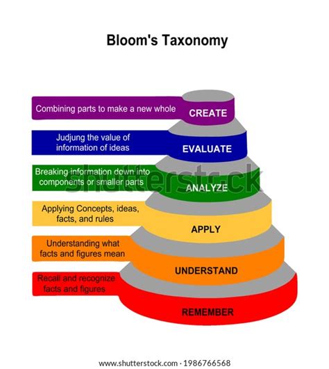 Blooms Pyramid Taxonomy Illustration Educational Tool Stock Vector