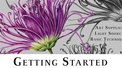 As for my chops, i own two wacom bamboos and a monoprice 8x10 drawing then i would recommend starting with a graphic 'tablet' like this: Getting Started with Botanical Drawing - YouTube