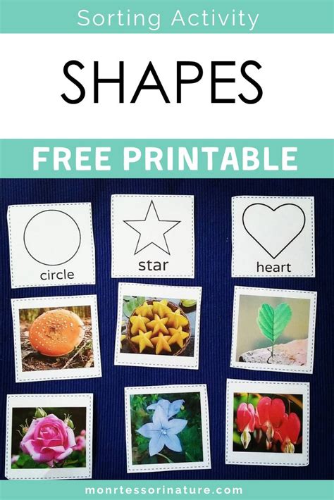 Montessori Nature Shapes Preschool Free Printable Activities Shapes