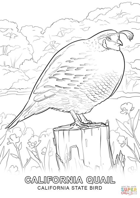 New free coloring pages stay creative at home with our latest. California State Symbols Coloring Pages at GetColorings ...
