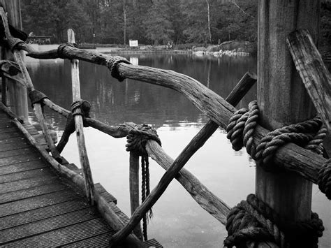 Free Images Landscape Tree Water Winter Rope Black And White
