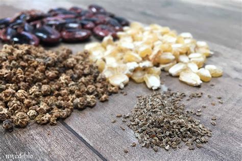 The clay will dissolve away, leaving the seeds in ideal. All the Seed Terminology You Need To Know | Northwest ...