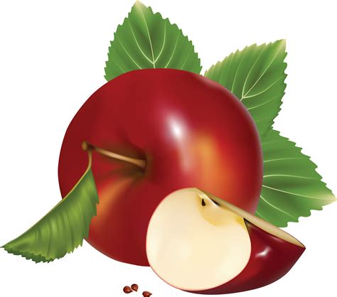 Collection Of Apple Png Pluspng