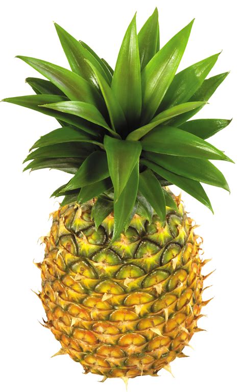 Pineapple fruit, Pineapple clipart, Pineapple
