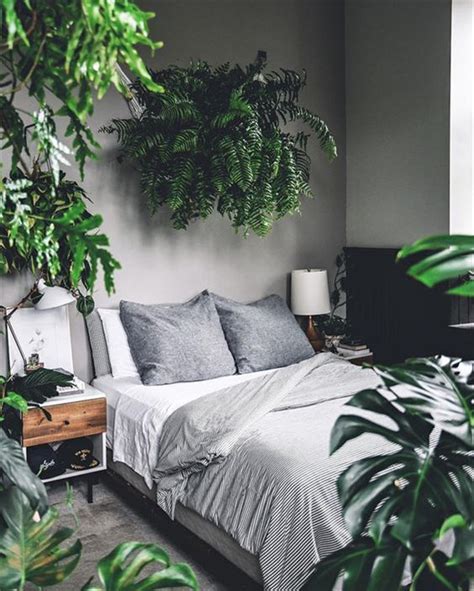 Bedroom Plants Ideas 25 Fresh And Stylish Decors Youll Adore