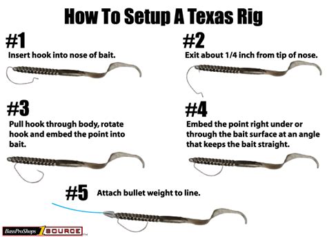 How To Setup The Texas Rig Rigs Fish And Fishing Rigs