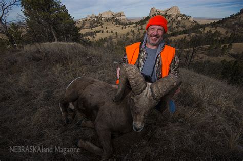 Nebraskas 20th Bighorn Likely A Record Setter