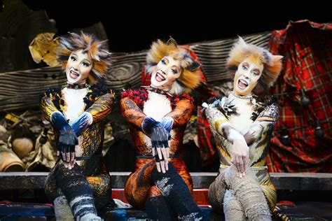 What Is Cats The Musical Actually About