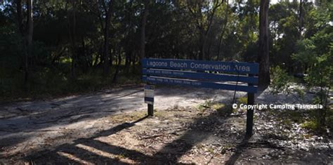 Is a not for profit association established in 2005 to represent the commercial firewood supply industry in all states of australia. Free Camping Lagoons Beach Conservation Area St Marys ...