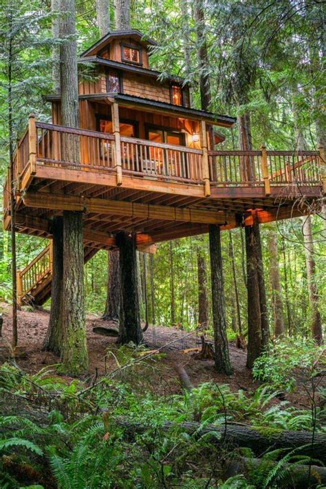 This Gorgeous Tree House Is Our Dream Bunkie Tree House