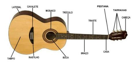 Partes Do Violino Nomes