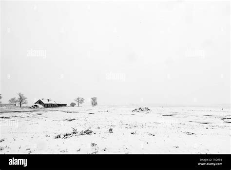 Winter Landscape With Farmhouse In Black And White Hungary Stock Photo