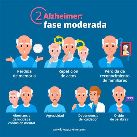 Etapas De La Enfermedad De Alzheimer