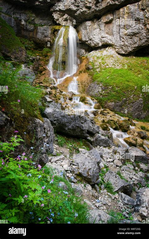 Gordale Scar Malham Waterfall Near The Village Of Malham Wharfedale