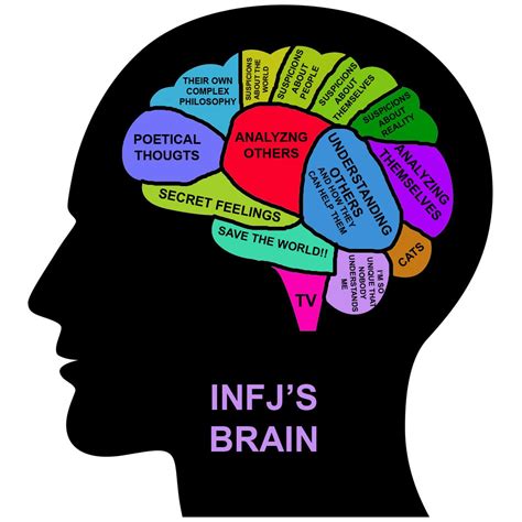 Infjs Brainwoah How Did They Figure This Outalthough I Would