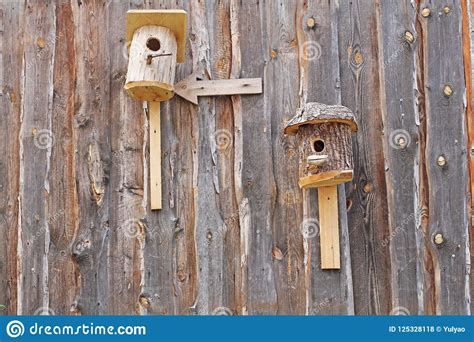 Our handcrafted exquisitely detailed, historically accurate and extremely endearing hand built birdhouses are made from top. Birdhouses And Pointer On The Wooden Wall Of Barn Stock ...
