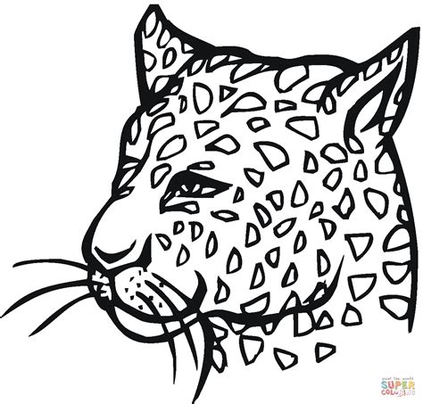 Cute Baby Cheetah Coloring Pages Coloring Home