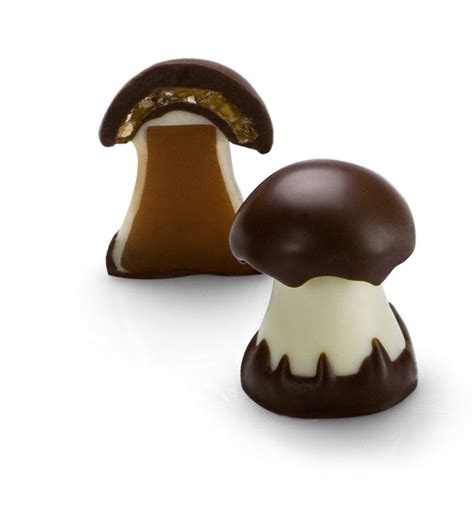 Chocolate T Box Mushrooms Chocolat Michel Cluizel