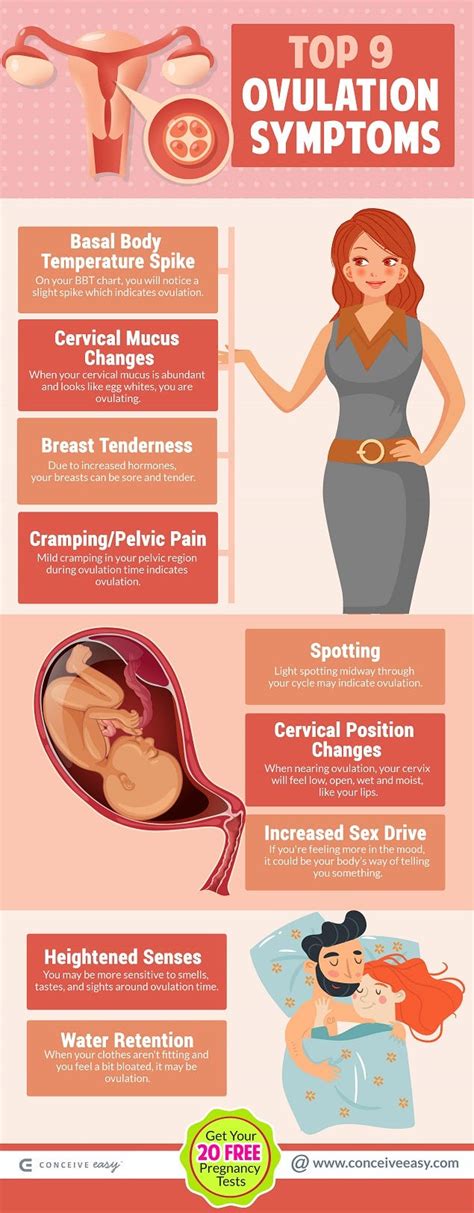 Top 9 Ovulation Symptoms Infographic By Conceive Easy Medium