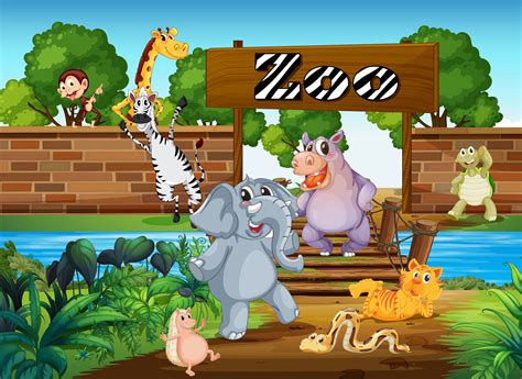 Animals In The Zoo Download Free Vectors Clipart