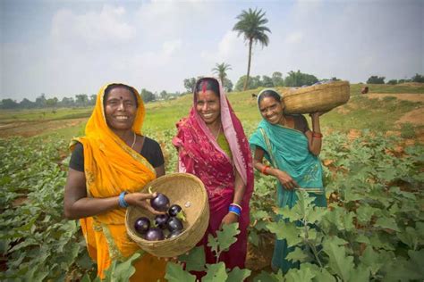 Agri Tourism In India Beautiful Farmstays To Get Back To Your Roots Times Of India Travel